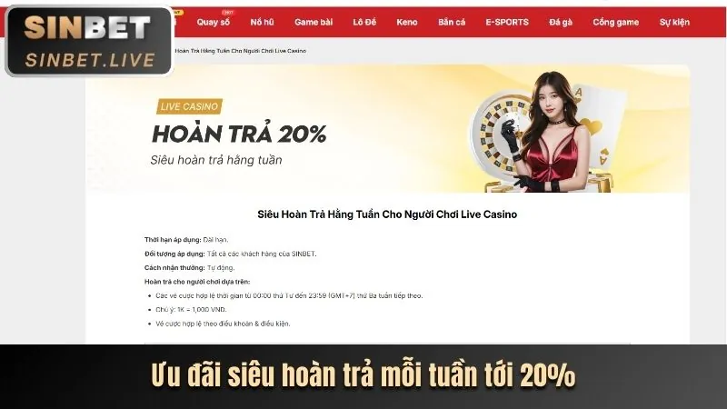 Chính sách chống gian lận